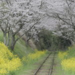 いすみ鉄道の旅