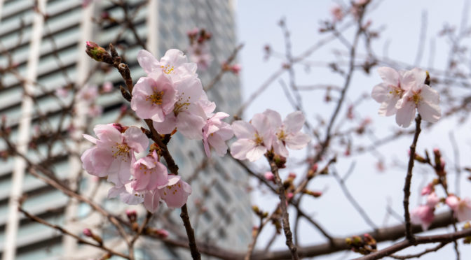 2026年 誓願勤行会